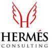 hermes consulting nigeria|Company – Hermes Consulting.